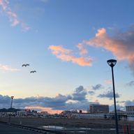 フユ   さんのアイコン画像