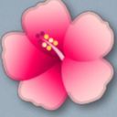 ãããã©@ãã¬ãã£ã¢ð