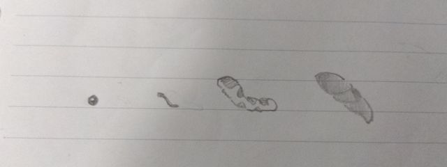 見る専のくせに気分で書く奴(全ていおいて低浮上)さんの壁紙画像