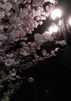 ふたりの子育て .