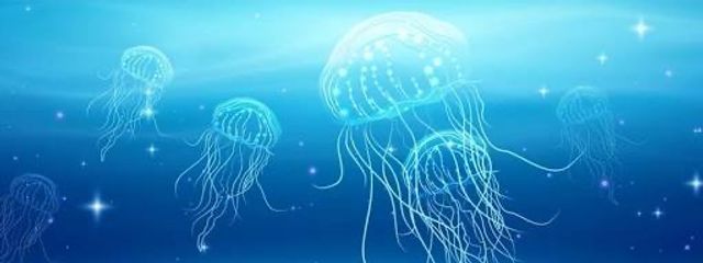 みなと🫧さんの壁紙画像