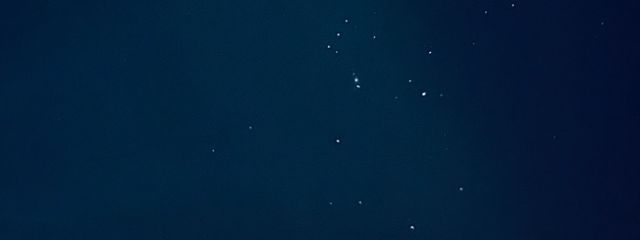 夜雨　紫苑　#寧音ちゃんとペア画中！さんの壁紙画像