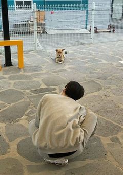 I'll think about it forever.