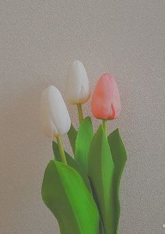 すずるーむ