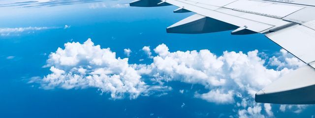 あまのじゃく  （狐好き）さんの壁紙画像