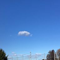 s ᴏ ʀ ᴀさんのアイコン画像