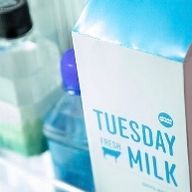 名無しさんのアイコン画像