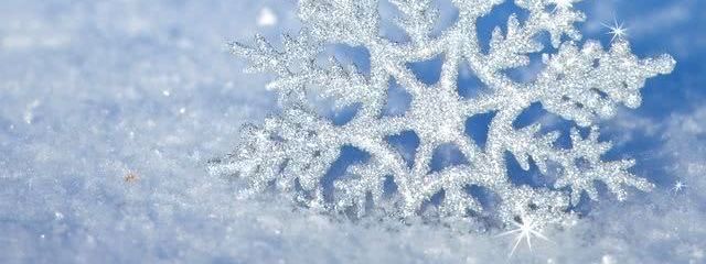 seasonさんの壁紙画像