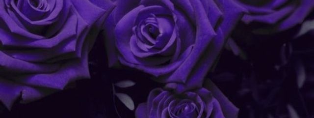 あるい /@くそ納棺師  #地下納棺するぞさんの壁紙画像