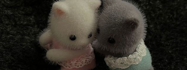          じにぺん  🧚🏻‍♀️さんの壁紙画像