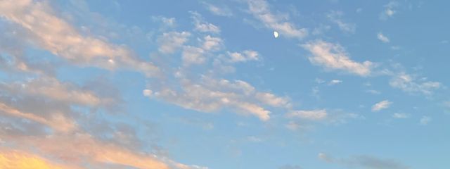 Yukaさんの壁紙画像