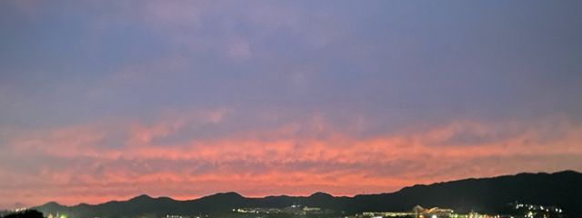 포레さんの壁紙画像