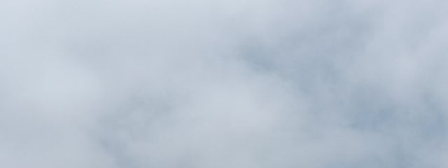 まぁさんの壁紙画像