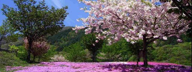 瑠藍💜さんの壁紙画像