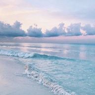 天羅💛🧋💜🎮🖤🦞🤍🦖さんのアイコン画像