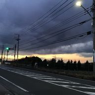 菫さんのアイコン画像