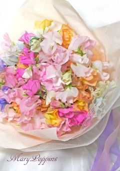 貴方にスイートピーの花束を