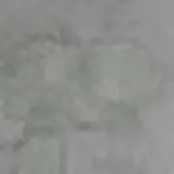 だいず.さんのアイコン画像