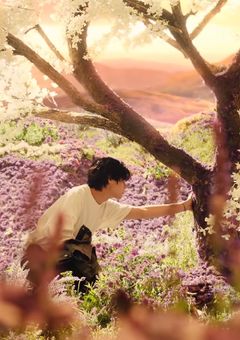 今この瞬間、桜咲く