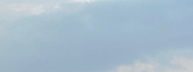 桜木もかさんの壁紙画像