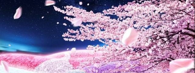 祭ノ桜　紫鬼🌸さんの壁紙画像