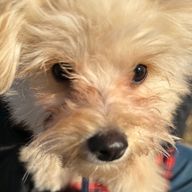 a3さんのアイコン画像