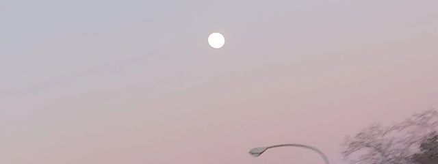 悠里さんの壁紙画像