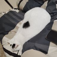 悠里さんのアイコン画像