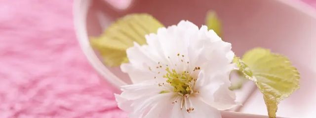 PIA🎲💎さんの壁紙画像