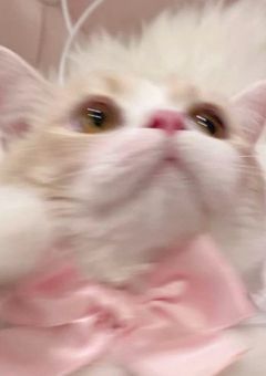 𝒯𝒽ℯ 𝓈𝓉ℴ𝓇𝓎 ℴ𝒻 𝓎ℴ𝓊 𝒶𝓃𝒹 𝓂ℯ