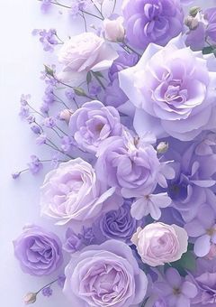 からぴち、日常組とシェアハウスして恋愛まで！？【完結済】