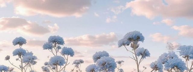 HONOKAさんの壁紙画像