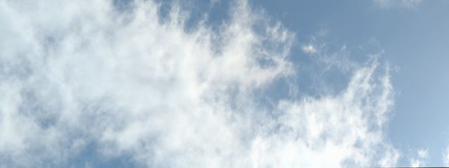 おバカ代表Ⅱ らぃち ❕️❕️さんの壁紙画像
