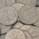 いつでもいじめてください！！！！