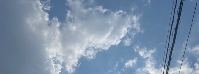 Mms 🎤🪷🩰さんの壁紙画像