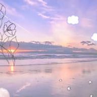 Mms 🎤🪷🩰さんのアイコン画像