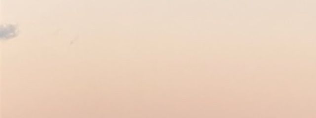 鶏胸肉さんの壁紙画像