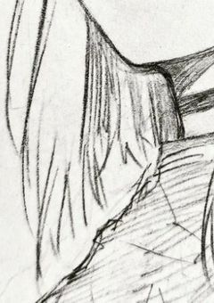 女の子、飼い始めました。