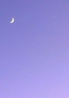 人間の性だ、許せ