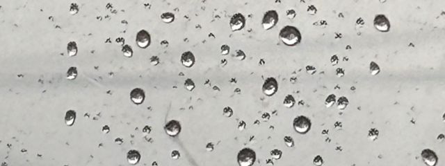 はりねこさんの壁紙画像