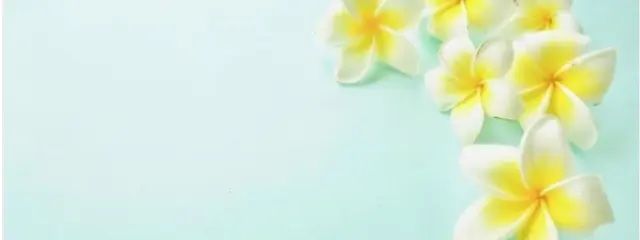 さくらんぼさんの壁紙画像