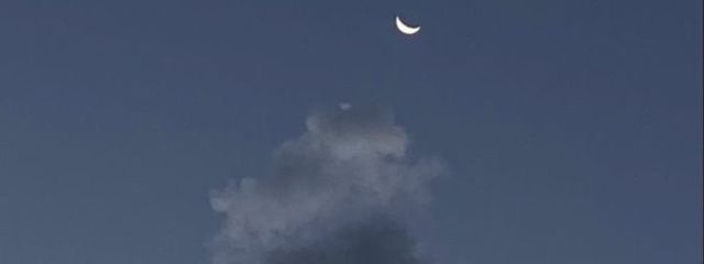 なちゅたさんの壁紙画像