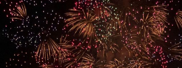 百合　＿ Yuriさんの壁紙画像