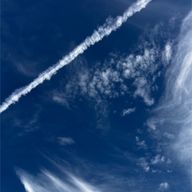 百合　＿ Yuriさんのアイコン画像