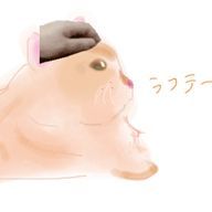 るかさんのアイコン画像
