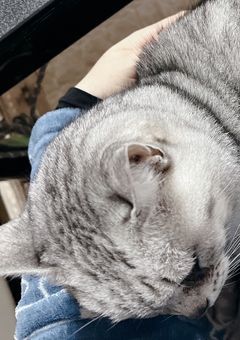 同士と仲良くしたい人（僕）