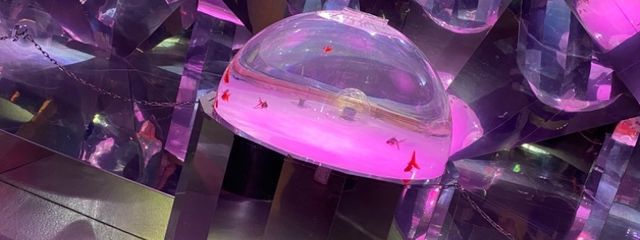 しゅんしゅんさんの壁紙画像