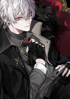 N4sj　╏　短編集　