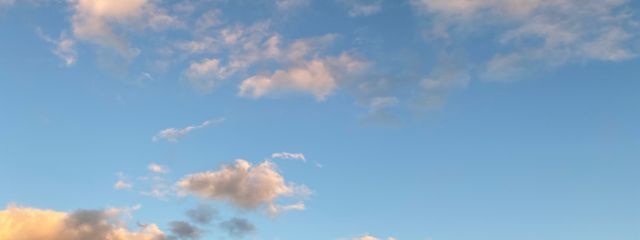 零華（れいか）🍁🏐☔️さんの壁紙画像