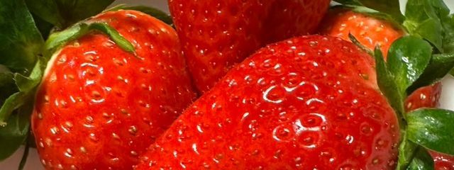 紀伊イチゴさんの壁紙画像